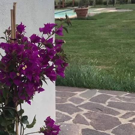 The Ranch 4 Capalbio