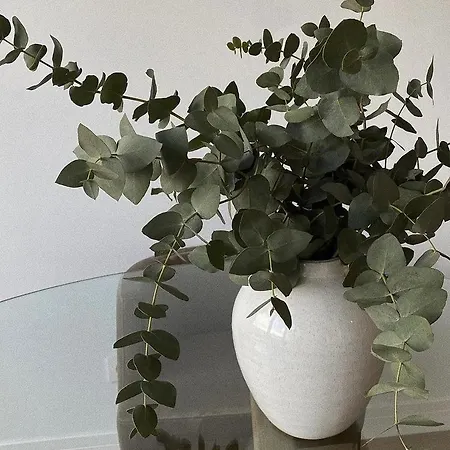 The Ranch 4 Capalbio Appartement *