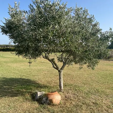 The Ranch 4 Capalbio פשיה רומנה