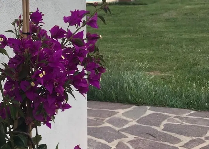 The Ranch 4 Capalbio