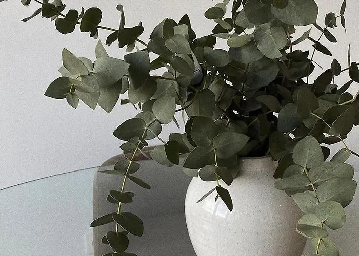 The Ranch 4 Capalbio アパート *