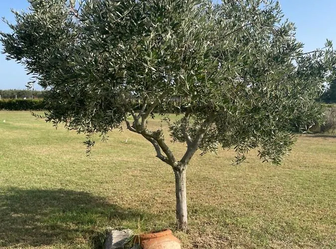 The Ranch 4 Capalbio Pescia Romana